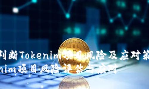 如何判断Tokenim项目风险及应对策略  
Tokenim项目风险评估与应对