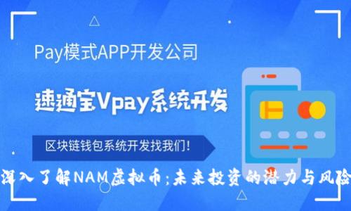 深入了解NAM虚拟币：未来投资的潜力与风险