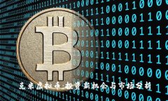 克米虚拟币：投资新机会与市场分析