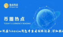 如何在Tokenim钱包中查看到账记录：详细指南