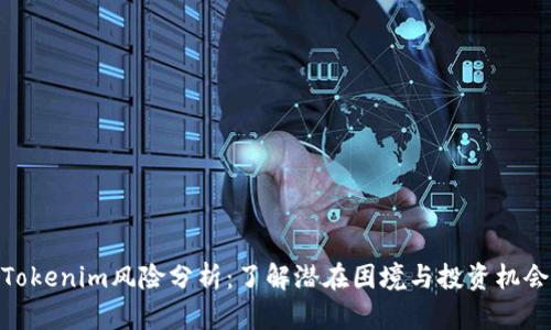 Tokenim风险分析：了解潜在困境与投资机会