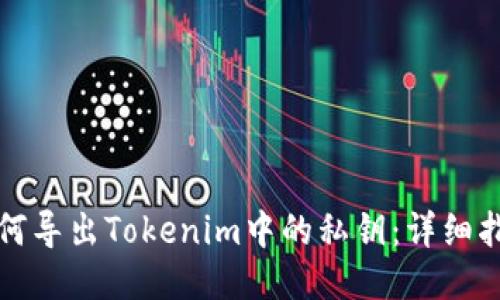 如何导出Tokenim中的私钥：详细指南