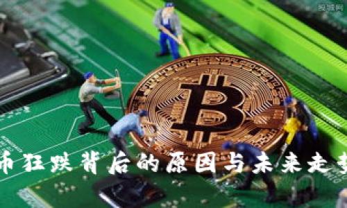 虚拟币狂跌背后的原因与未来走势分析