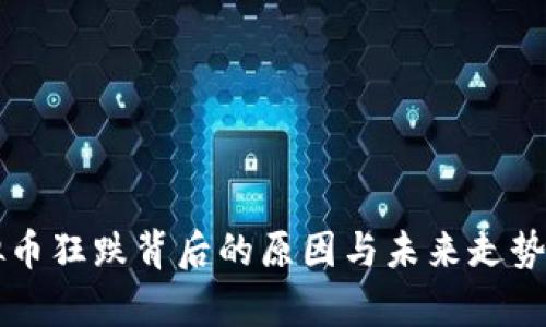 虚拟币狂跌背后的原因与未来走势分析