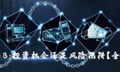 虚拟币B：投资机会还是风险陷阱？全面解析