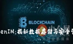 TokenIM：揭秘数据存储与安全管理