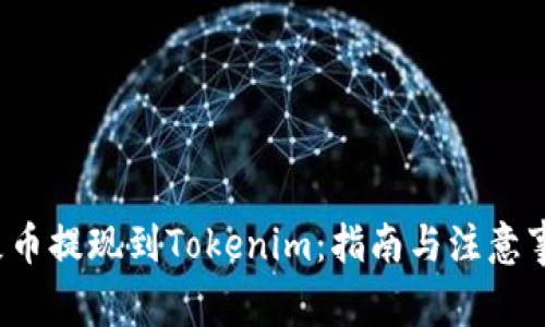  屎币提现到Tokenim：指南与注意事项