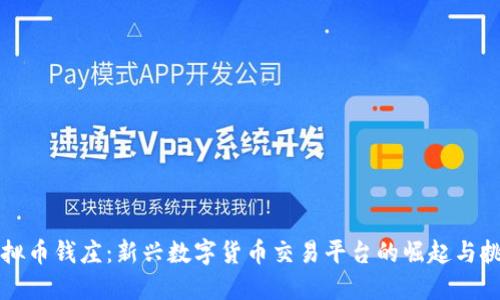 虚拟币钱庄：新兴数字货币交易平台的崛起与挑战