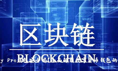 IM Key Pro钱包安全吗？全面解析数字货币钱包的安全性
