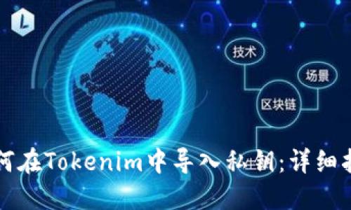 如何在Tokenim中导入私钥：详细指南