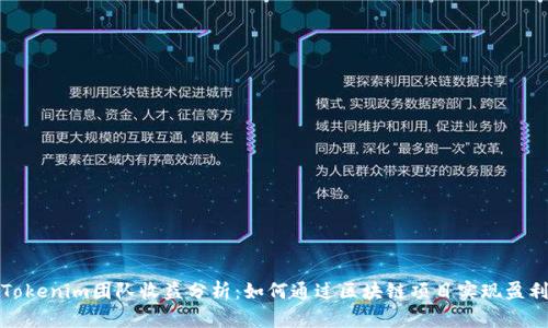 Tokenim团队收益分析：如何通过区块链项目实现盈利