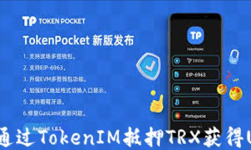 
怎样通过TokenIM抵押TRX获得USDT？