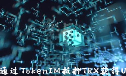 
怎样通过TokenIM抵押TRX获得USDT？