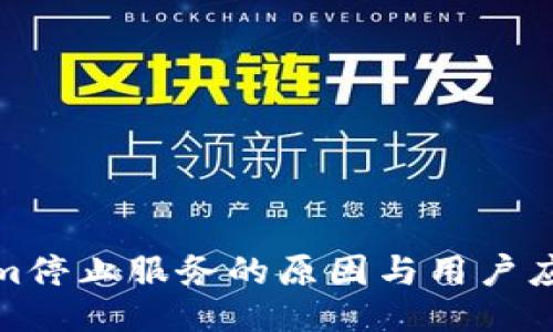 Tokenim停止服务的原因与用户应对策略