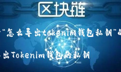 以下是关于“怎么导出tokenim钱包私钥”的内容呈现。

如何安全导出Tokenim钱包的私钥