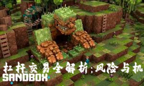 :
虚拟币杠杆交易全解析：风险与机会并存