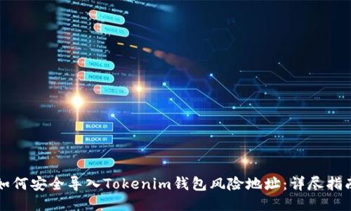 如何安全导入Tokenim钱包风险地址：详尽指南