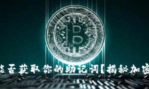 假Tokenim能否获取你的助记词？揭秘加密钱包安全性