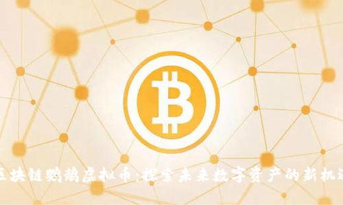 区块链鹦鹉虚拟币：探索未来数字资产的新机遇