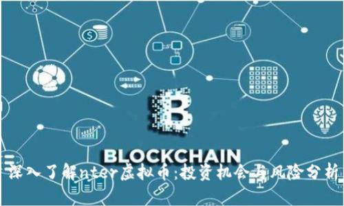 深入了解nter虚拟币：投资机会与风险分析