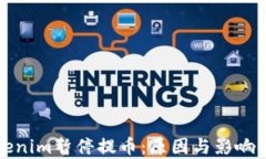 Tokenim暂停提币：原因与影响解析