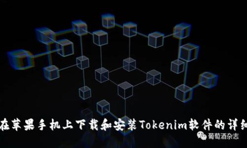如何在苹果手机上下载和安装Tokenim软件的详细指南