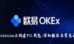 如何在Tokenim上创建FIL钱包：详细教程与常见问题