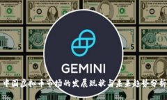 中国虚拟币市场的发展现状与未来趋势分析