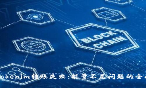 解决Tokenim转账失败：能量不足问题的全面指南