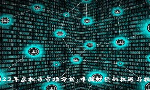 2023年虚拟币市场分析：中国财经的机遇与挑战