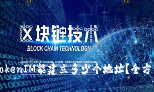 一个TokenIM能建立多少个地址？全方位解析