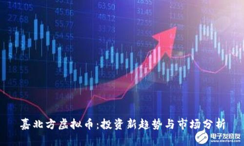 嘉北方虚拟币：投资新趋势与市场分析