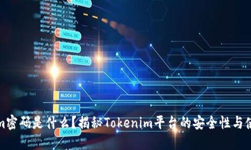 Tokenim密码是什么？揭秘Tokenim平台的安全性与使用技巧