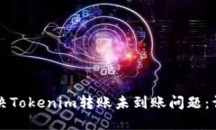 如何解决Tokenim转账未到账问题：详细指南