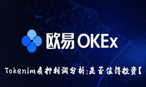 Tokenim质押利润分析：是否值得投资？