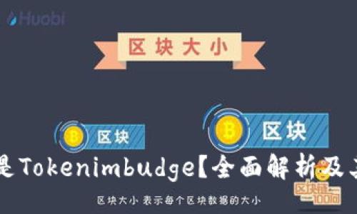 div
    什么是Tokenimbudge？全面解析及其应用前景