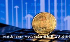 div    什么是Tokenimbudge？全面解析及其应用前景