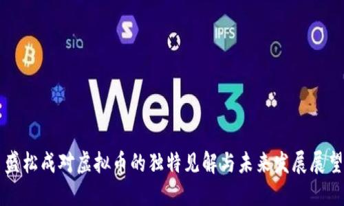 盛松成对虚拟币的独特见解与未来发展展望