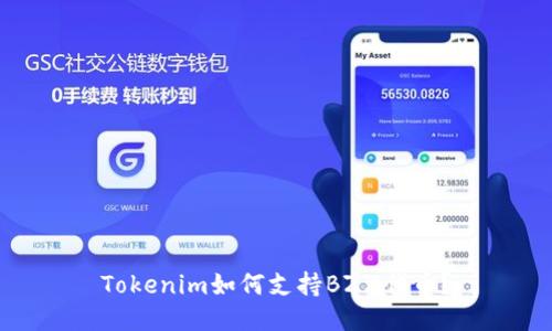Tokenim如何支持BZZ代币？