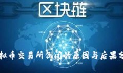 虚拟币交易所倒闭的原因与后果分析