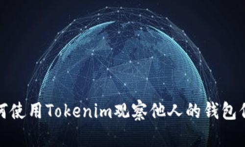 如何使用Tokenim观察他人的钱包信息