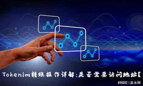 Tokenim转账操作详解：是否需要访问地址？
