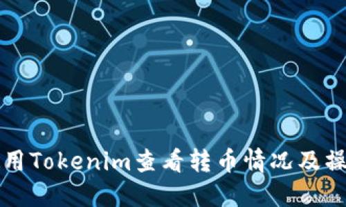如何使用Tokenim查看转币情况及操作指南