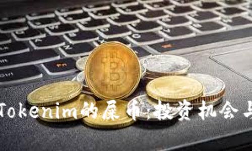 深入解析Tokenim的屎币：投资机会与风险分析