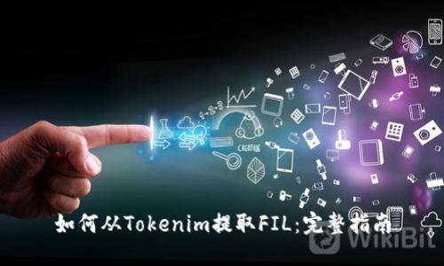 如何从Tokenim提取FIL：完整指南