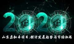 山东虚拟币项目：探讨发展趋势与市场机遇