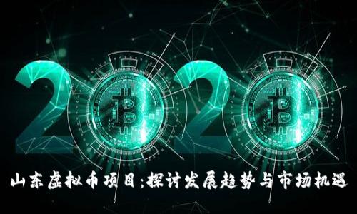 山东虚拟币项目：探讨发展趋势与市场机遇